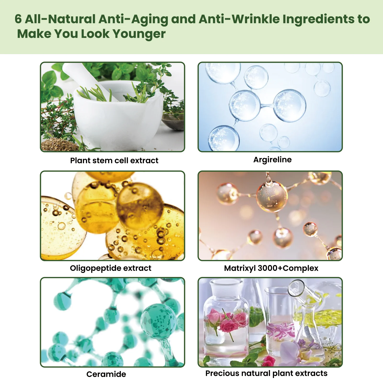 Ceramide Lifting Serum 15ml Deep Hydration Anti-Wrinkle Firming Essence 2 ceramide lifting serum 15ml cih cu3qdjcs desc 2