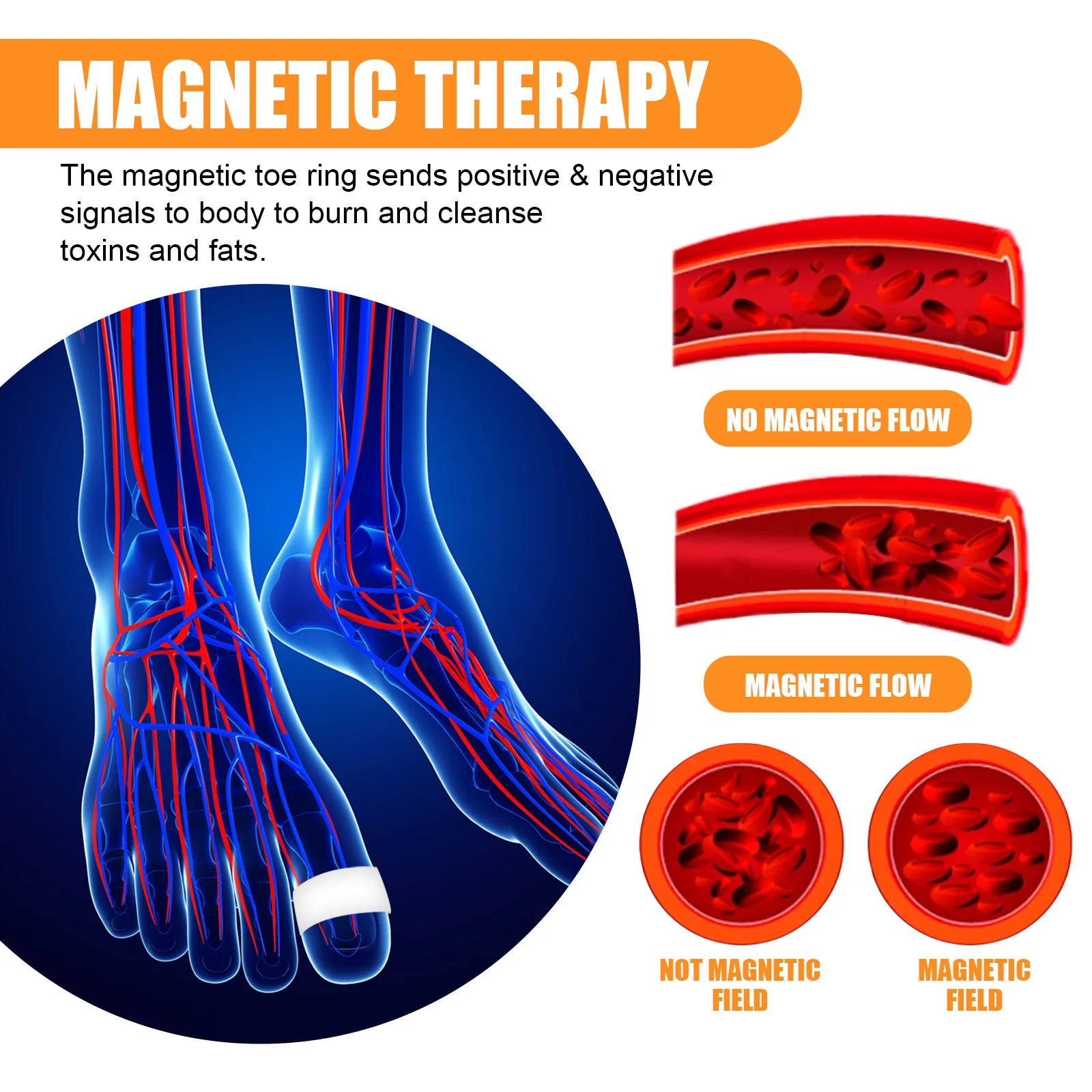 Magnetic Therapy Slimming Toe Rings for Weight Loss and Body Shaping 5 magnetic therapy slimming toe rings cih 3un42cj5 desc 5