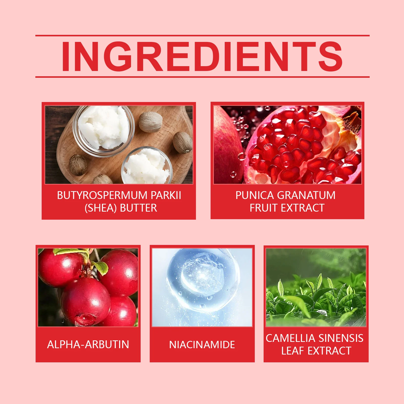 moisturizing lip care paste cih 5nt8d5xx desc 3