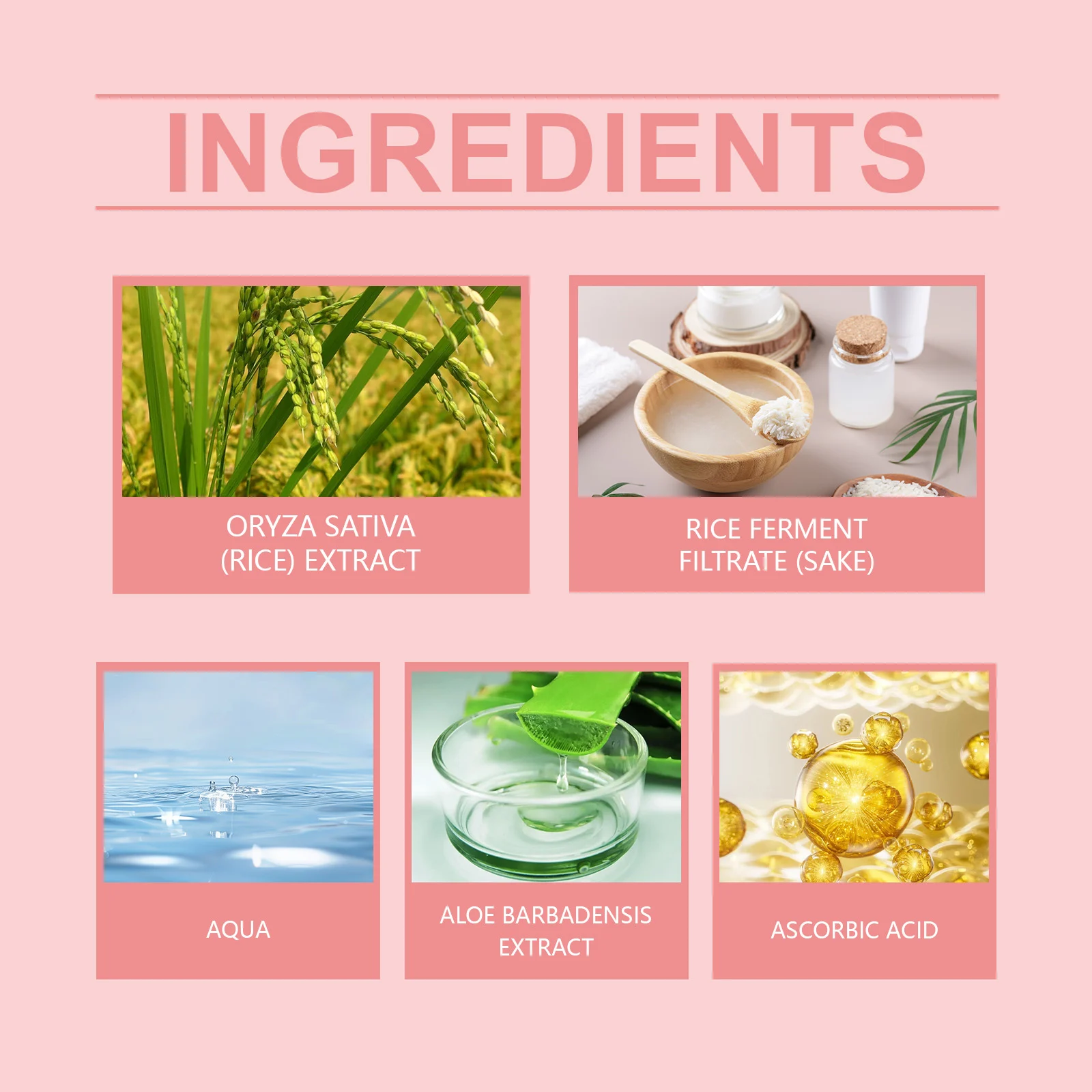 Rice Sake Sleep Mask 50g Hydrating Overnight Facial Mask for Brightening & Moisturizing 3 rice sake sleep mask 50g cih xbjn387w desc 3