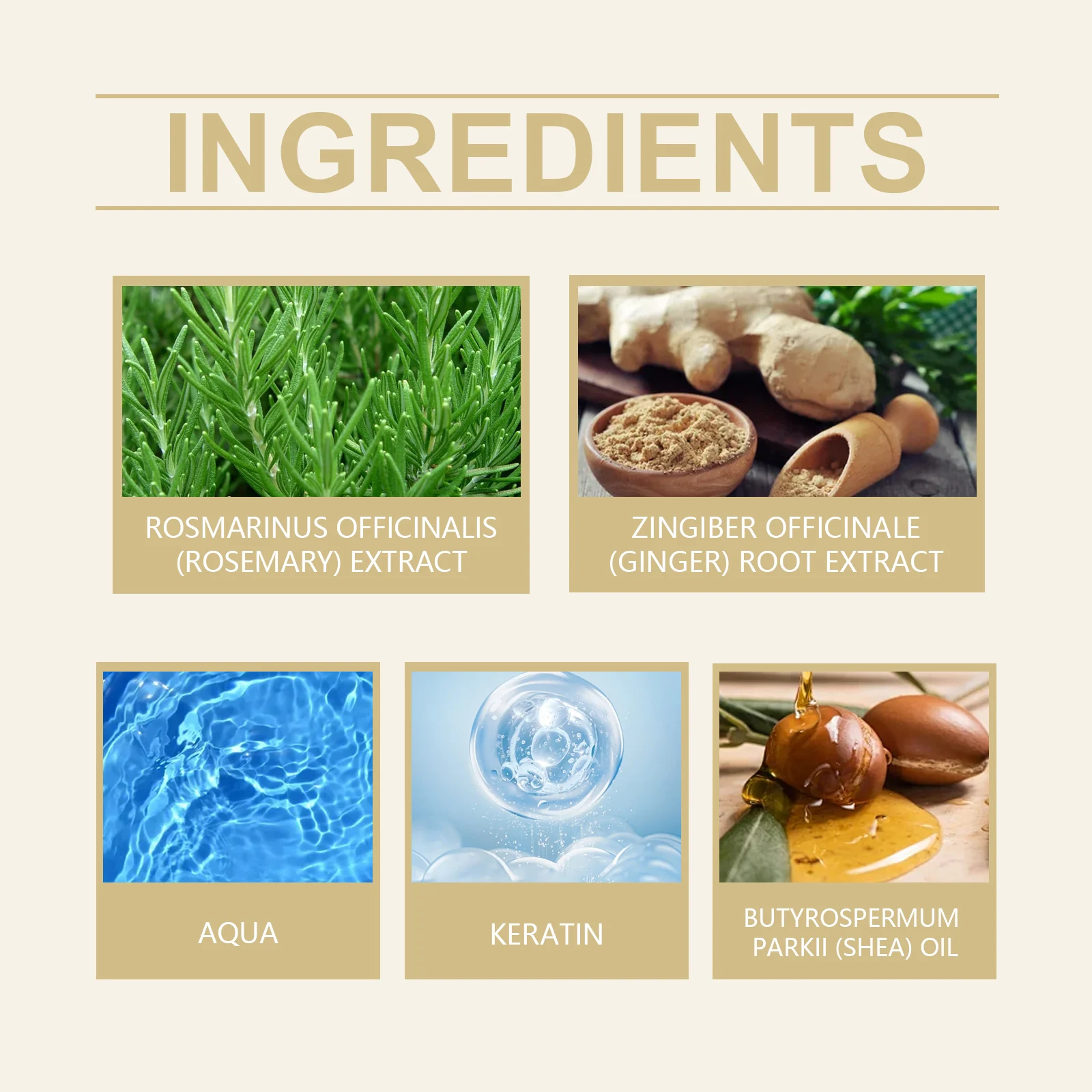 Rosemary Ginger Hair Conditioner for Dry Damaged Hair Repair Frizz Control Smoothing 100ml 3 rosemary ginger hair conditioner 100ml cih t5ympfkd desc 3